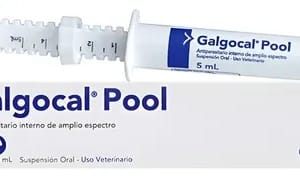 GALGOCAL POOL JERINGA X 5 ML (Fenbendazol / Praziquantel / Toltrazuril) Para coccidia