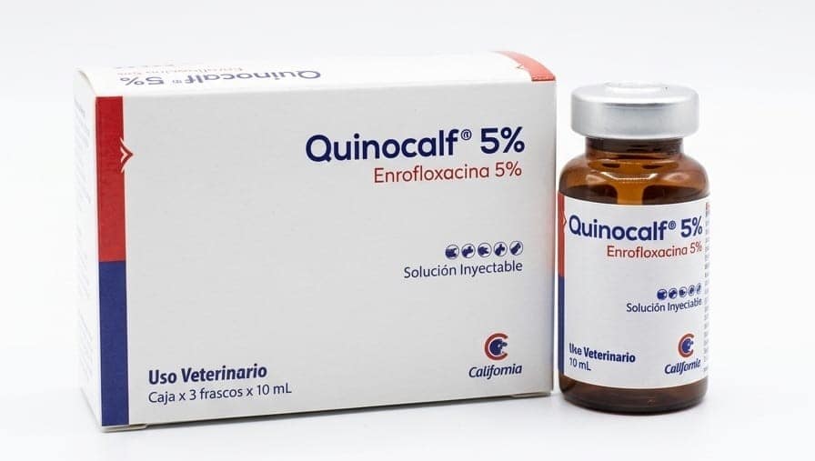 ENROFLOXACINA 5 % INY FCO X 10 ML